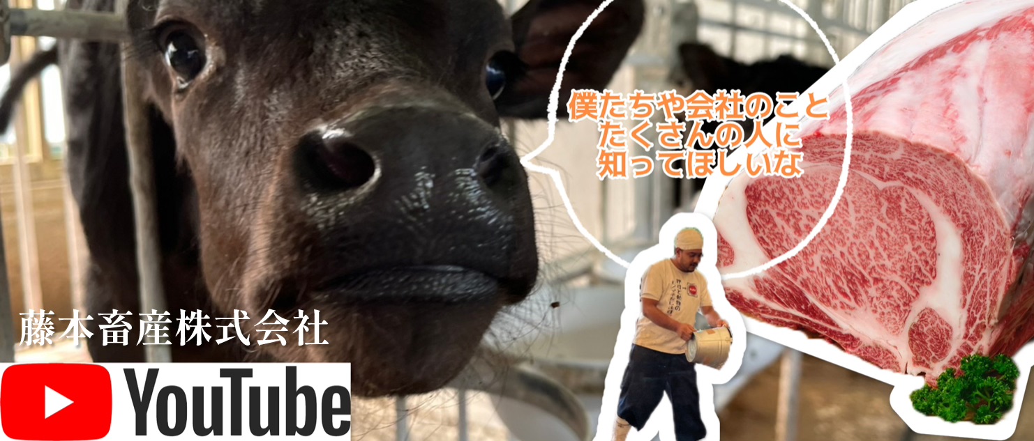 藤本畜産のYouTubeチャンネル